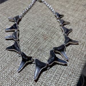 Silver and Black Shark Tooth Necklace by Charles Albert